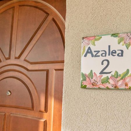 Il Mandorlo Fiorito Bed And Breakfast Ogliastro Cilento Exterior foto